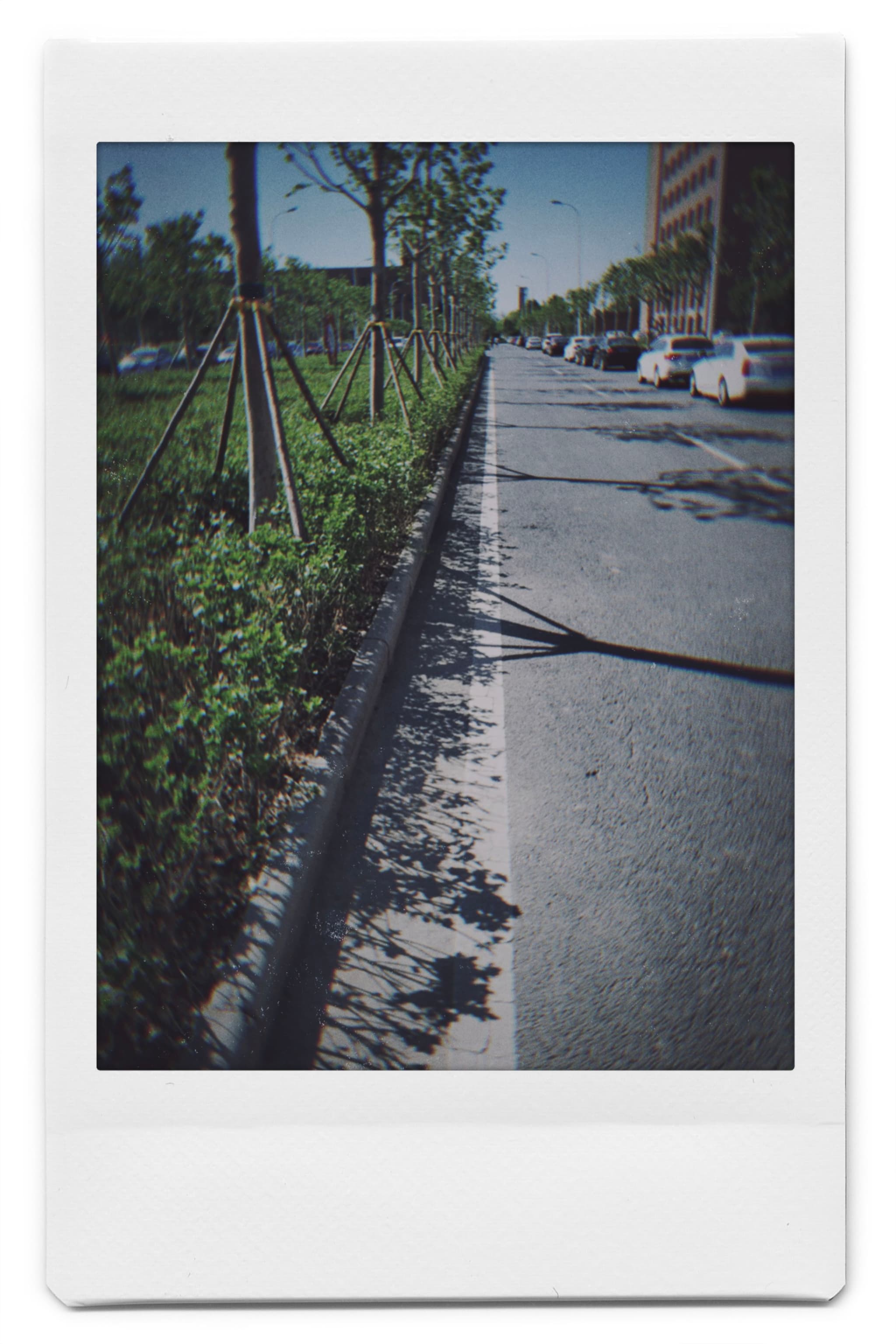 NOMO_INS_W-s-b