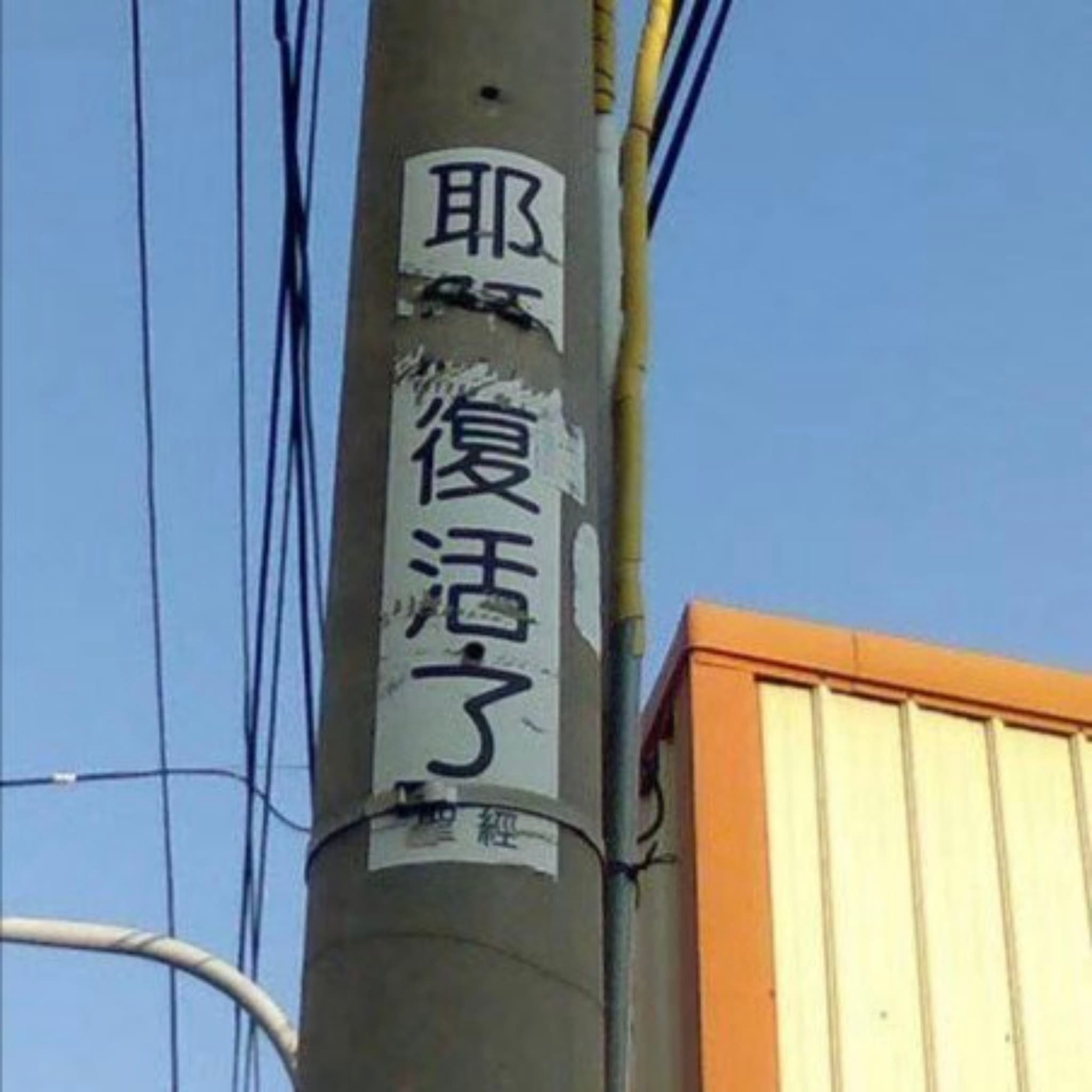 25 8月 25
