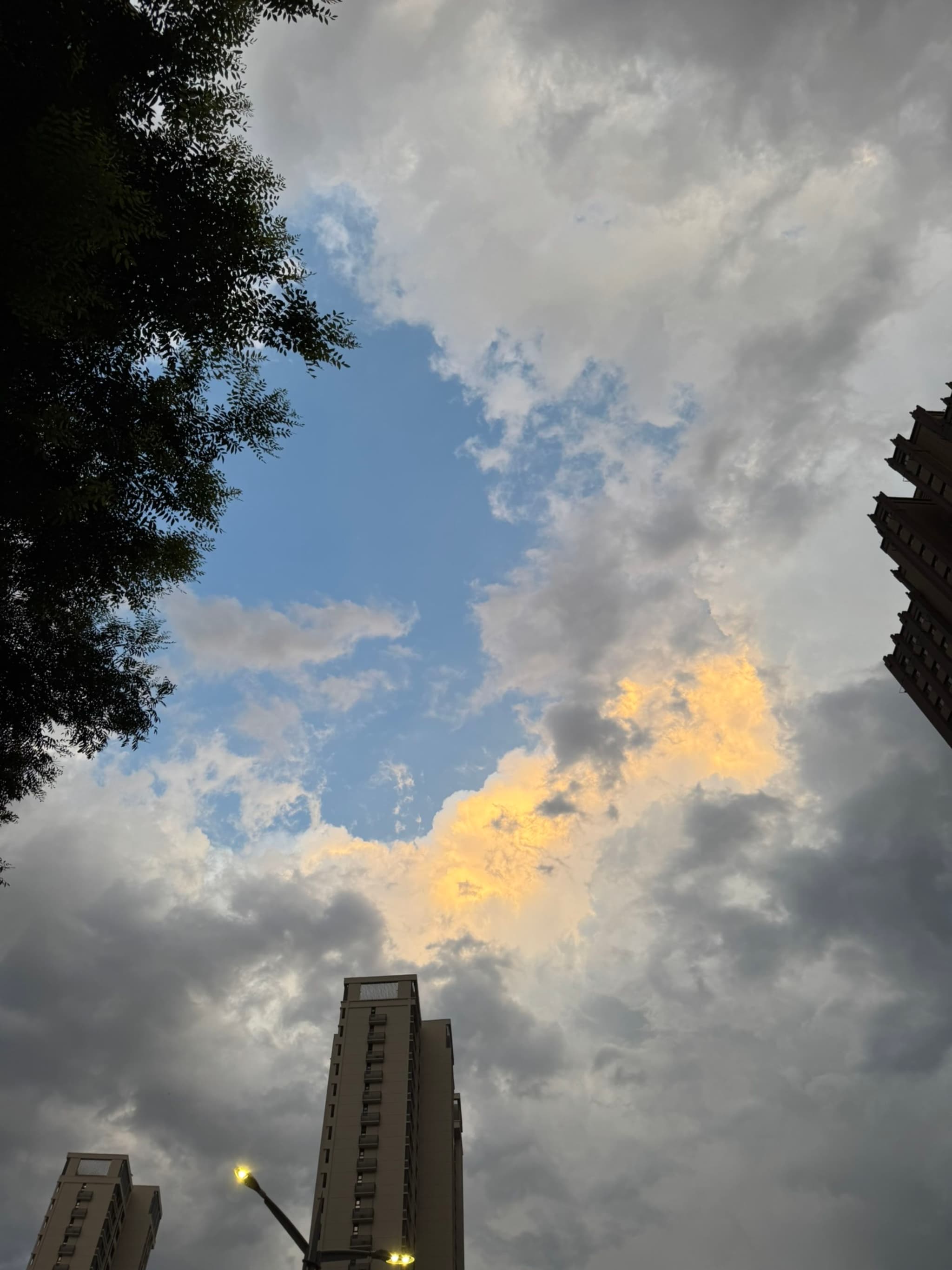 11 8月 25